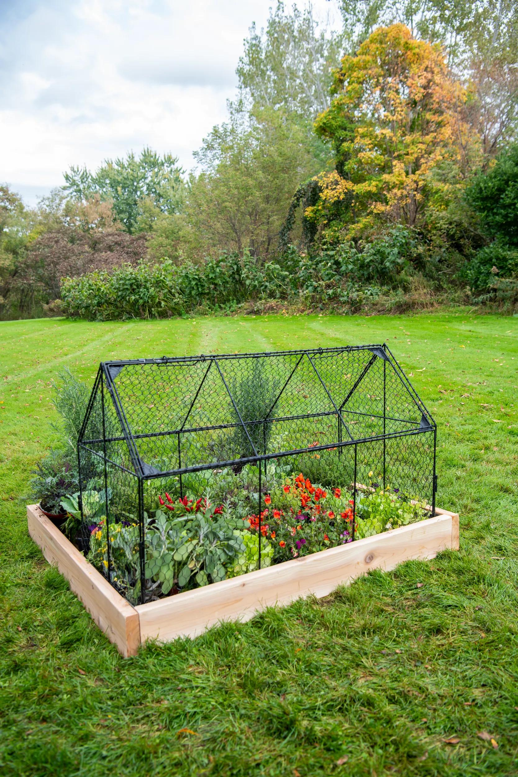 Chicken Wire Crop Coop, Black
