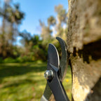 Radius Bypass Loppers