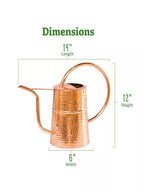 Copper Indoor Watering Can