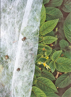 Summerweight Garden Fabric