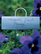 Large Markers, Set of 25