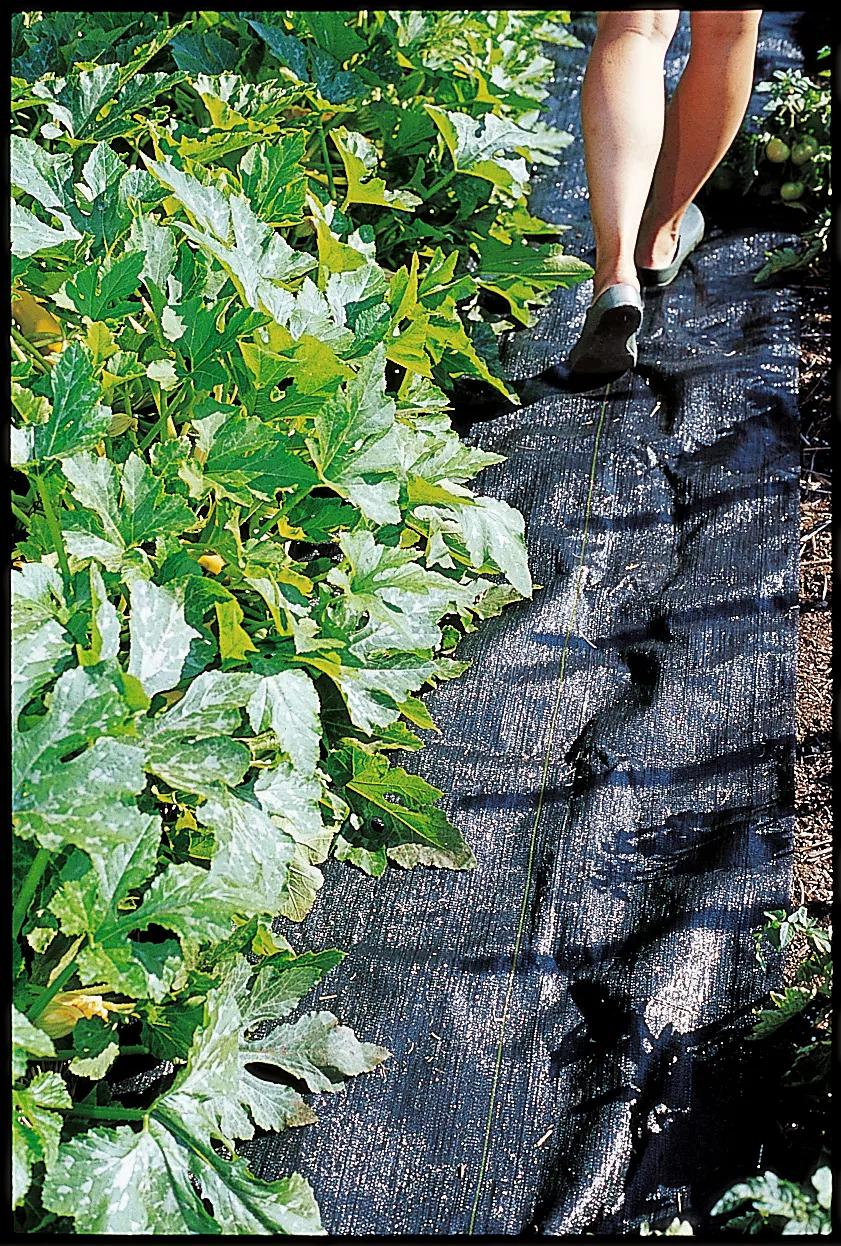 Pro Weed Mat, 3' x 50'